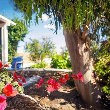 Villa Tropicalia Private Concierge Service